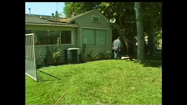 Секс и соблазнение большого члена