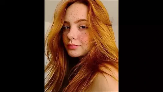 Değerli zencefil 1536