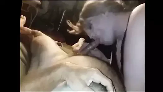 Bbw trans vs grup 3 için oral