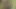 Bir yarak gerçekten iyi hissettirdiğinde