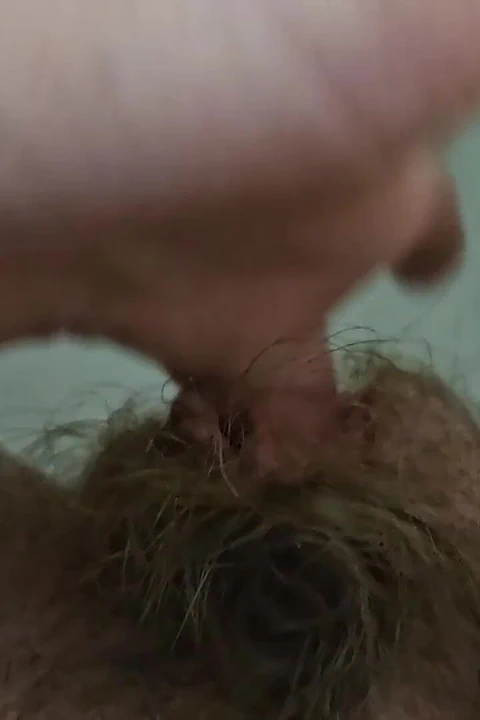 Bakış açısı sulu çiş amcık