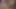 Yalnız iri askerler zevkiniz için etlerini mastürbasyon yapıyor