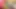 Sevimli Taylandlı orta yaşlı seksi kadın Lily Koh en iyi bakış açısıyla oral seks videosu çekiyor