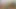 Futanari üvey annem bacaklarının arasında büyük bir dildo büyüdü