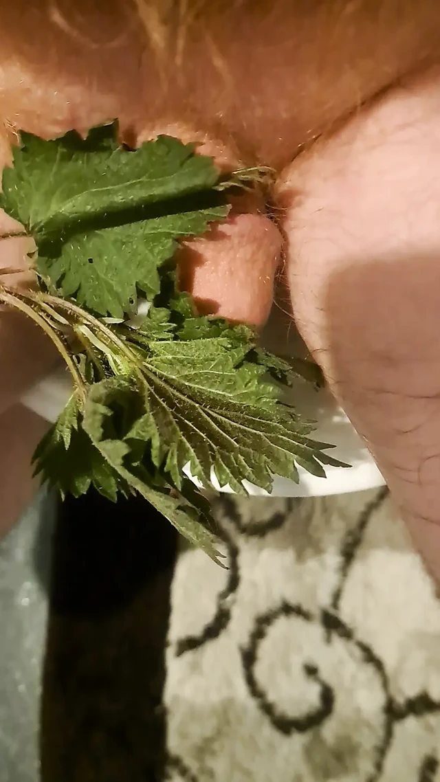 Acıtan ısırgan otu ile ilk sesim