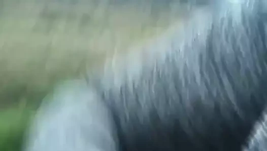 Dik egyptian sharmota ve ona koca bölüm 1