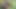 Uzun bir süre sonra zenci terk edilmiş bir binada onu çok iyi sikerken büyük yarağımı denemeye karar verdi