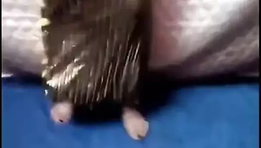 Sıcak Mısır Arap dansları evde