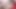 Riley reid senin horoz binmeye hazır