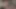 Vücut çoraplı Japon kız Serina Hirose iki yarakla oynuyor.