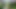 Training Zero Anal Public Pegging in my Garden Outdoors with my Huge Strapon