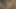 siyah yapay penis ile olgun aff sürtük