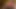 santas little helper under the Christmas tree now in full 4K high quality Ultra HD