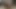 Soluk sürtük emme yapay penis ve titreşimli değnek ile mastürbasyon yapıyor