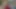 Yanıp sönen onu traş kedi için film ekibi alır onu the
