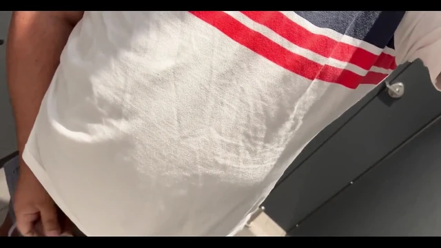 Крейсерская медведь