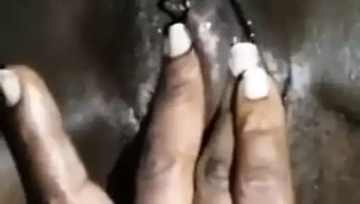 Bajan darkie, tatlı kedi