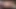 Tatlı sevimli ladyboy ile güzel cilt emmek horoz ve Başlarken sikme