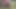 Yabancı yaklaşıyor.. Gel ve seni sikeyim! Amatör dölleme ile açık havada seks 4k şehvet