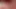 Büyük c, Colby Collins, Cade Jaxon ve bir dl amatör