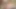 Dildoyla kendimi sikmek bana kazançlı bir fışkırtma orgazmı yaşattı
