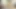 Yaramaz güzel lezbiyenler Dillion Harper ve Karlee Grey fit vücutlarını sergiliyor