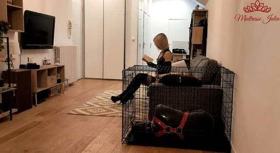 Maitresse julia - lateks femdom - bakire köpek kölem kıçını sikiyor - strapon - ilişkilendirmeye - boşalmak aşağılama