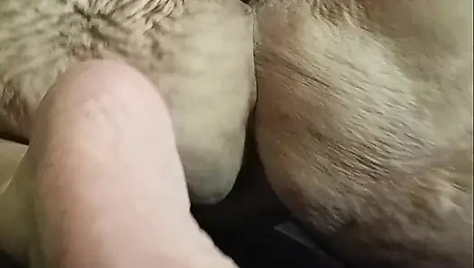 O şişman götünü sikiyor ve erkek oyuncağı çok hızlı geliyor