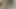 Dijital oyun alanı - ateşli orta yaşlı seksi kadın ava addams sikiliyor