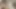 uslu oğlanlar tam itaat gösteriyor