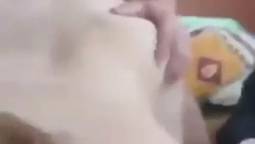 sarisin yavruyu araya almislar biri agzina veriyor biri siki