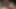 Porno yıldızı kırmızı oyuncu seçme kanepesinde sikişiyor