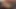 Adriana Chechik emiyor ve her pozisyonda sikişmeden önce götünü parmaklıyor