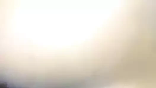 Curacao'dan güzel abanoz