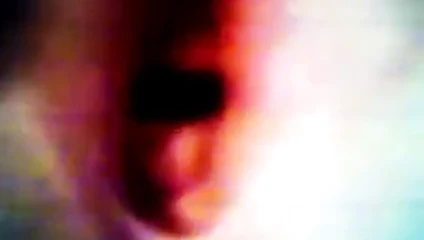 Cheles açık kedi içinde yaşayan bir kuş var