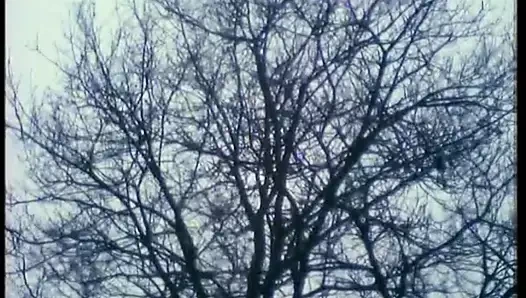 Karın, bilinmeyen yaratık (belgesel, 1969)