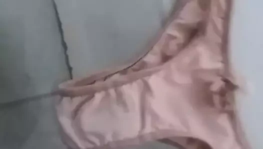 Calcinhas da minha namorada vadia.