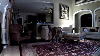 Eğlenceli gece ile muhteşem sarışın milf