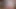 Dove Cameron boşalıyor 03