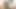 Indian Girl Trades Pussy for Family's Future and Gets Creamed  -AI Generated