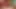 Yarım ereksiyonlu küçük penis masajı
