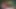 Islak amcıklı ve seksi götlü azgın esaretli ağzı tıkalı orta yaşlı seksi kadın sikilmek istiyor