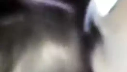 beyaz kızlar tekme siyah KEDİ bölüm