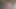 Evet! Riley'nin büyük zenci yarağıyla oynarken sikini sıvazla