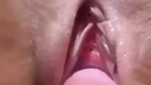 ihtiyaç duyan horoz