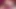 Bbw kız kullanımları 10 inç yapay penis içinde ona kedi