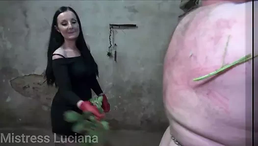 Kölenin dayak yemesi için seyirci