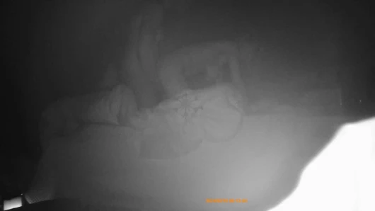 Domaltarak baskın sikişiyor, onu arkaya döndürüyor ve inleyen orgazm olana kadar amını yalıyor