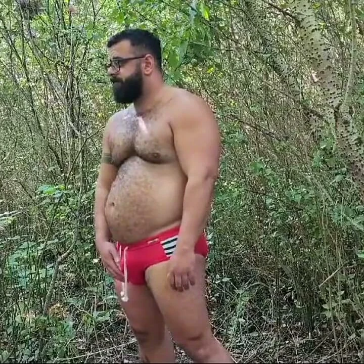 Cruising Bears