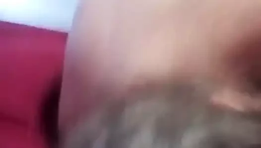 Beyaz sıkı kedi gets the büyük siyah horoz